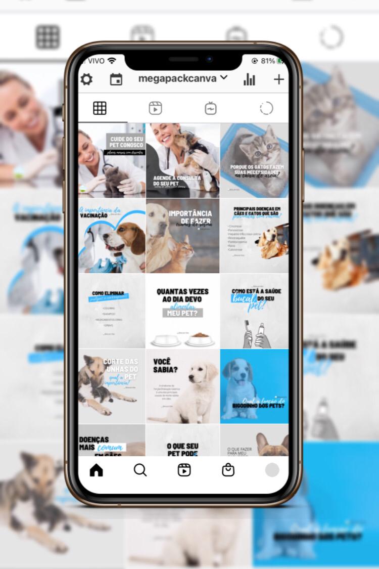 VETERINARIA_MEGA-PACK-CANVA.jpeg